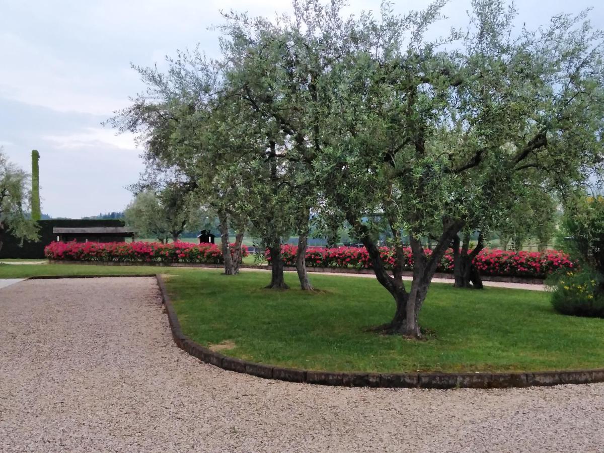 Agriturismo Le Ginestre Lazise Exteriör bild