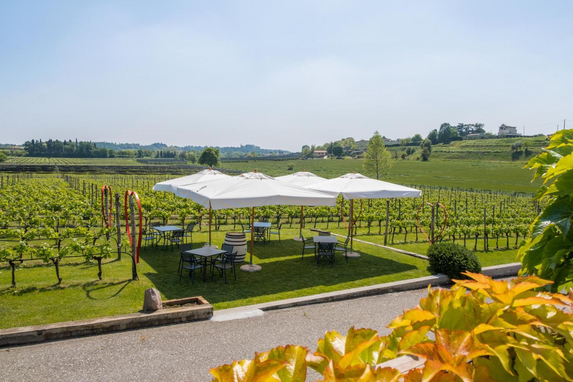 Agriturismo Le Ginestre Lazise Exteriör bild